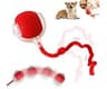 Interactive Rolling Dog Ball, 2025 Upgraded Version Automatic Rolling Ball Interactive Cat Toy Automatic Cat Toy Auto...