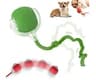 Interactive 2025 Upgraded Version Dog & Cat Toy, Intelligent Automatic Rolling Ball (Green)