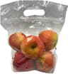 Apple Gala Bag Conventional, 48 Ounce