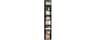 FOTOSOK Bookshelf Bookcase 8-Tier Narrow Bookshelf Tall CD Media Tower Rack | 11.6 X 9.3 X 70.9 Black Bookshelf, Tall...