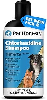 Pet Honesty Chlorhexidine Cat & Dog Seasonal Itch Relief Shampoo, for Allergies, Itching, Skin and Coat Supplement, H...