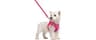 rabbitgoo Dog Harness Small Sized and Leash Set, Step in Soft Light Puppy Vest, Breathable Mesh Pet Harness, Reflecti...