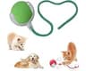 AYNUUY Interactive Pet Toy Ball, 2026 Automatic Dog Toy Interactive Dog Cat Toy Ball Dog & Cat Electric Active Toys, ...