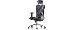 SIHOO M18 Ergonomic Office Chair, Mesh Back Desk Chair with Headrest | Adjustable Lumbar Support, Hold 330lbs Compute...