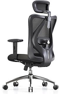 SIHOO M18 Ergonomic Office Chair, High Back Mesh Desk Chair with Adjustable Headrest & Lumbar Support, 330lbs Capacit...
