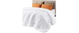 Bedsure Comforter Duvet Insert - Quilted Comforters Queen Size, All Season Duvet, GentleSoft Down Alternative Bedding...
