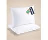 CGK Linens Ultra Thin Flat Pillows for Sleeping - Standard Size Pillows Set of 2 - Soft Down Alternative Bed Pillows ...