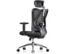 SIHOO M18 Ergonomic Office Chair, Mesh Back Desk Chair with Headrest | Adjustable Lumbar Support, Hold 330lbs Compute...