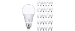 Yochoice A19 LED Light Bulbs, 100 Watt Equivalent LED Bulbs, Daylight White 5000K, 1100Lumens, E26 Base, Non-Dimmable...