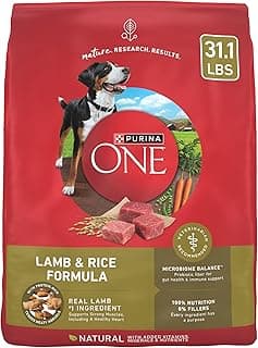 Purina ONE Dry Dog Food Lamb and Rice Formula - 31.1 lb. Bag