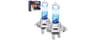 H7 Halogen Headlight Bulbs, 3800K Warm White, 300% Brighter, OEM Fit | 12V 55W High Performance, High/Low Beam Headli...