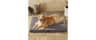 BFPETHOME Outdoor Waterproof Dog Bed for Large Dogs, Washable Cover, 36" | Outdoor & Indoor Use, Waterproof, For Medi...