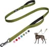 Fida Heavy Duty Dog Leash for Medium Large Dogs, 4 FT, Dual Padded Handles | Traffic Handle for Close Control, Advanc...