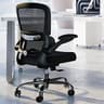 TRALT Office Chair - Ergonomic Desk Chair with Adjustable Lumbar Support, Mesh Computer Chair, Executive Chairs for H...