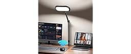 LED Desk Lamp for Home Office, Eye-Care Double-Sided Desk Light with Stepless Dimmable Knob Remote, Memory, Adjustabl...