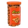 Reese's Filled Pretzels, Peanut Butter Pretzel Nuggets, Crunchy, Ready to Eat, Sweet and Salty Snack, 18oz Jar