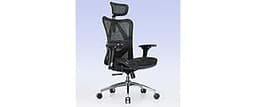SIHOO M57 Ergonomic Mesh Office Chair, High Back Home Desk Chair with 3D Armrests, Lumbar Support and Adjustable Head...