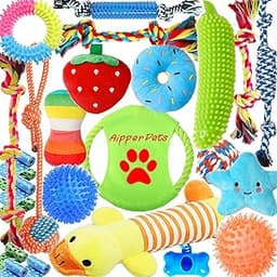 Dog Toys 25 Pack for Fun and Teeth Cleaning, Puppy Chew Toys Pack with Squeak Plush Toy,Squeaky Toy Balls,Tug of War ...