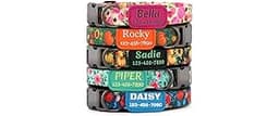 Personalized Floral Dog Collar with Name and Phone Number | Durable Metal Buckle | Cute Flower Girl Boy Dog Collar | ...