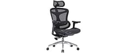 SIHOO Doro C300 Ergonomic Office Chair with Ultra Soft 3D Armrests, Dynamic Lumbar Support for Home Office Chair, Adj...