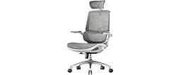 SIHOO M59AS Ergonomic Office Chair, Desk Chair with 3D Flip-up Armrests, Computer Chair with Dual Back Design and Ada...