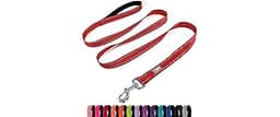 PenSeepet Dog Leash 6 FT Padded Handle Nylon Reflective Dogs Leashes for Medium Dogs Red