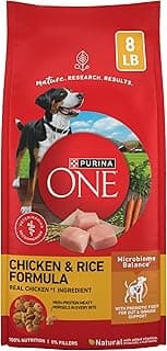 Purina ONE Chicken and Rice Formula Dry Dog Food - 8 lb. Bag