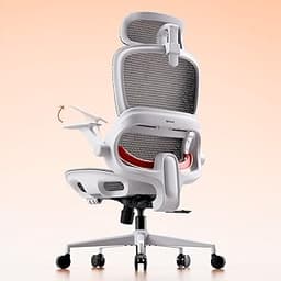SIHOO B100 Office Chair, Comfy Ergonomic Office Chair, High Back Computer Chair with Adaptive Lumbar Support & Wide H...