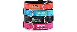 Personalized Dog Collars Custom with Pet Name and Phone Number, Soft Neoprene Padded Reflective Nylon Collar, 4 Adjus...