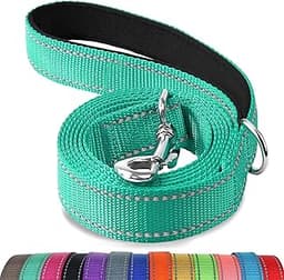 Joytale Dog Leash, 6 FT Double-Sided Reflective, Padded Handle Nylon Heavy Duty Leashes for Medium & Large Dogs Walki...