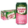 Canada Dry Fruit Splash Strawberry Ginger Ale Soda, 12 Oz Cans, 12 Count