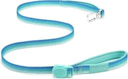 Daily Step Dog Leash, Magnetic Buckle, Aqua Coast, 5FT | Multi-Function Quick-Release, Dual Padded Handles, Crossbody...