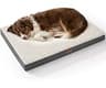 Bedsure Washable Dog Beds Large Sized Dog with Comfy Sherpa, 36x27in Grey | Orthopedic Egg Crate Foam,Comfort Support...