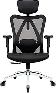 Duramont Ergonomic Office Chair with Rollerblade Wheels - High Back Breathable Mesh Desk Chair, 4D Lumbar Support, Me...