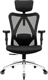 Duramont Ergonomic Office Chair with Rollerblade Wheels - High Back Breathable Mesh Desk Chair, 4D Lumbar Support, Me...