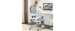TRALT Ergonomic Office Chair - Desk Chair with Wave High Back Adjustable Lumbar Support Computer Chair - Gaming Chair...