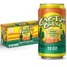 Cactus Cooler Orange Pineapple Soda, 12 oz