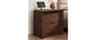 YANSNWO Walnut Nightstand with Charging Station, 23.6" Bedside Table | 2 AC Outlets & 2 USB Ports, 2" Thick Tabletop ...