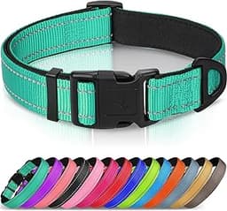 Joytale Reflective Dog Collar, Soft Neoprene Padded, Metal D-Ring, Nylon Pet Collar Adjustable for Large Dogs, Teal, L