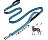 Fida 6 FT Heavy Duty Dog Leash with 2 Comfortable Padded Handles, Traffic Handle & Advanced Easy Snap Hook, Reflectiv...