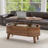 LYNCOHOME Fluted Lift Top Coffee Table with Hidden Compartment, Modern Oval Coffee Table for Living Room, Home Office...