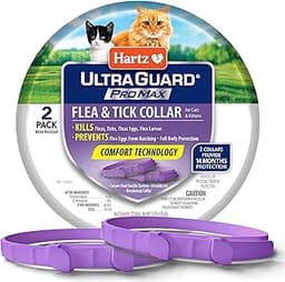 Hartz UltraGuard ProMax Flea & Tick Collar for Cats I 14 Months Protection I Soft & Comfortable | Flea & Tick Prevent...