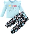 DISAUR Toddler Girl Clothes 2 Piece 3D Flower Top and Pants Set 12M-5T