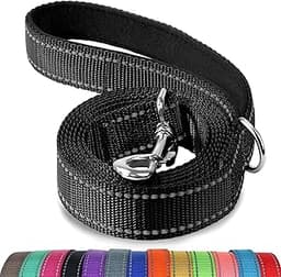 Joytale Dog Leash, 6 FT Double-Sided Reflective, Padded Handle Nylon Heavy Duty Leashes for Medium & Large Dogs Walki...