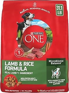 Purina ONE Dry Dog Food Lamb and Rice Formula - 31.1 lb. Bag