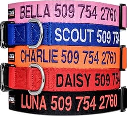 GoTags Personalized Dog Collar, Custom Embroidered with Pet Name and Phone Number in Blue, Black, Pink, Red and Orang...