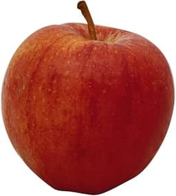 Apple Gala