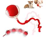 Interactive Rolling Dog Ball, 2025 Upgraded Version Automatic Rolling Ball Interactive Cat Toy Automatic Cat Toy Auto...