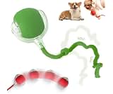 Interactive 2025 Upgraded Version Dog & Cat Toy, Intelligent Automatic Rolling Ball (Green)