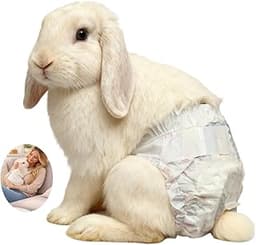 Rabbit Diapers for Indoor Use, 10-Pack – Designed for Couch, Bed & Holding, Absorbent, Leak-Resistant & Breathable De...